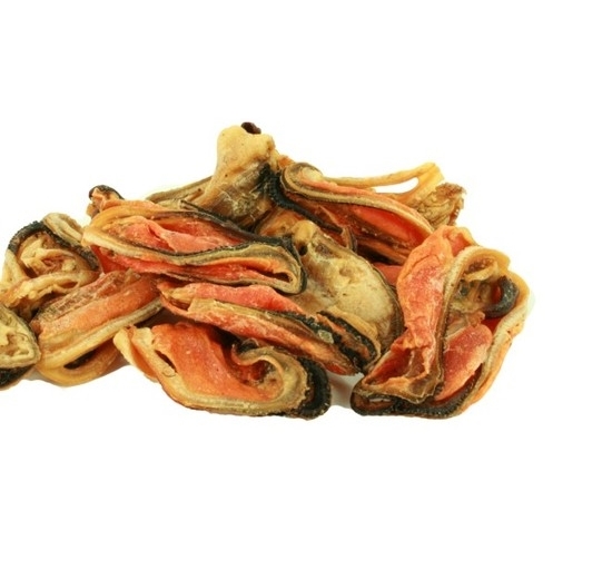 green lipped mussel for dogs green lipped mussels australian pet treats for dogs 50g green lipped mussel for dogs green lipped mussels australian pet treats for dogs 50g