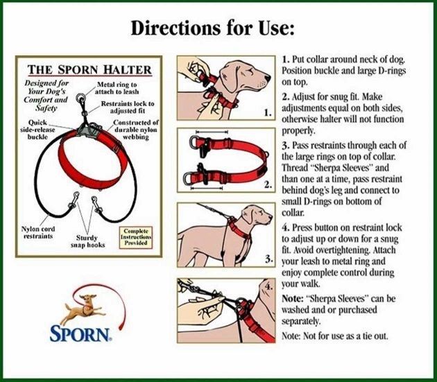 Dog halter to stop Pulling Sporn Halter Harness