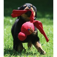 KONG Wubba Tug Toy for Dogs in Assorted Colours image 0