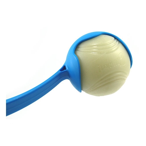 Chuckit Max Glow in the Dark Ball for Dog