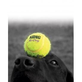 KONG AirDog Squeaker Non Abrasive Tennis Ball Dog Toy - Medium image 1