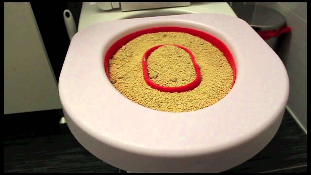 The Original Litter Kwitter Toilet for Cats