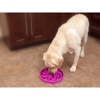 Outward Hound Fun Feeder Interactive Slow Bowl for Dogs - Purple Flower image 1