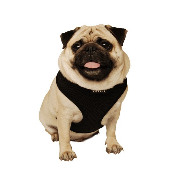 soft puppy puppia soft mesh harness for dogs soft puppy puppia soft mesh harness for dogs