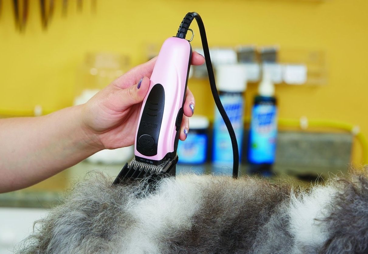 Oster Dog Clippers Oster A5 Golden Clipper Summer Bonus Kit