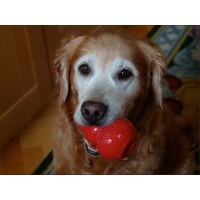 KONG Classic Red Stuffable Non-Toxic Fetch Interactive Dog Toy - X-Large image 4