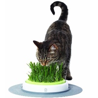Catit 2.0 Cat Grass Planter Kit with Starter Grass Pack image 5