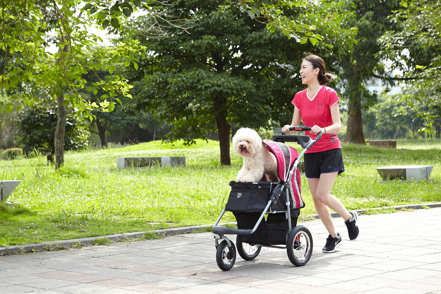 Ibiyaya Turbo Pet Jogger & Stroller Black
