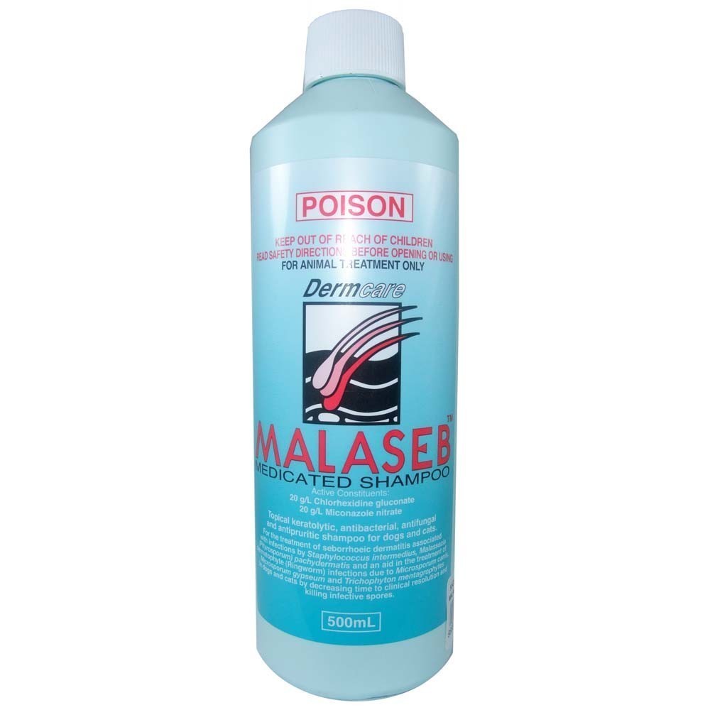 Can You Wash Dogs With Normal Shampoo Can You Wash Dogs With Normal Shampoo