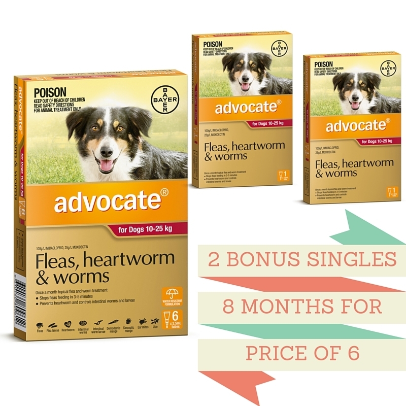 Advocate Flea & Worm Control Dogs 1025kg 6 Pack + 2 BONUS Singles eBay
