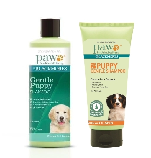 Puppy Gental Shampoo l Shampoo for Puppies