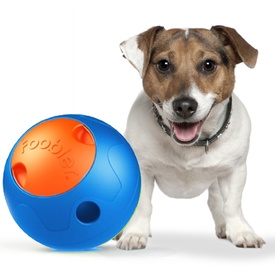 Foobler Automatic Treat Dog Toy with Timer - Blue or Green