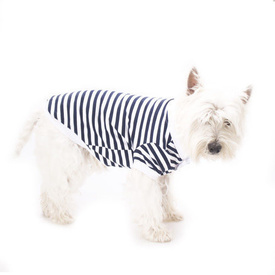 Blue Striped Polo Shirt for Dogs by Hamish McBeth