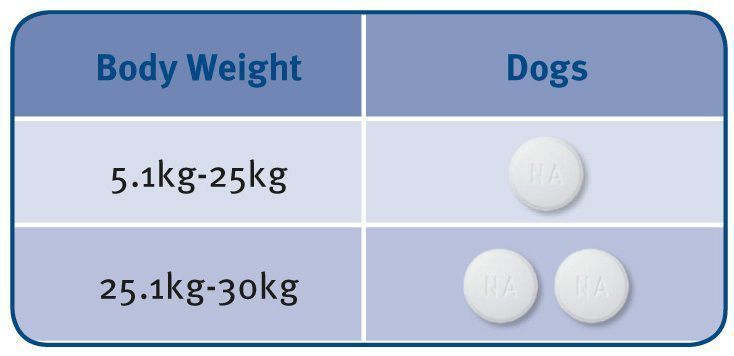 milbemax tablet