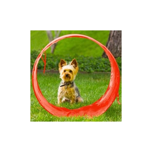 Outward Hound ZipZoom Outdoor Agility Kit for Dogs image 0