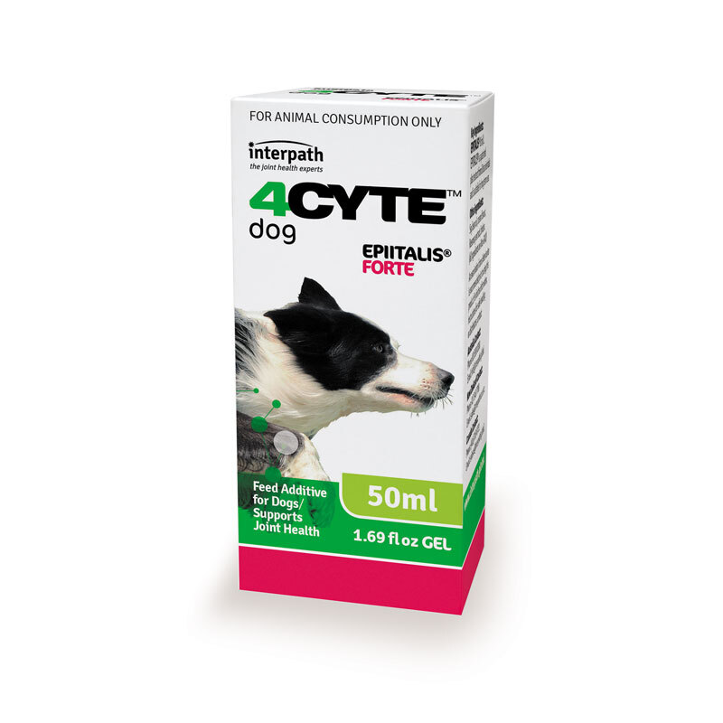 4CYTE Epitalis Forte Gel Oral Joint Supplement for Dogs 50ml/100ml/200ml + Syringe image 0
