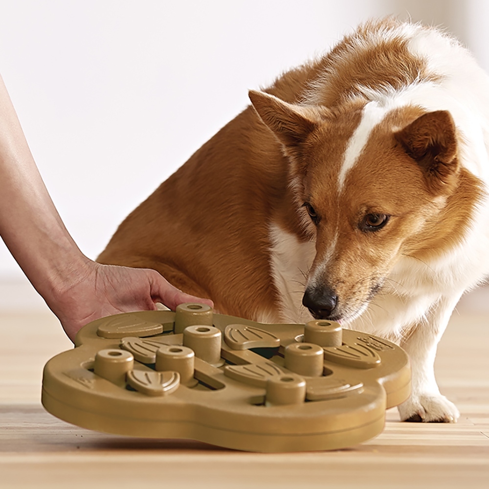 Nina Ottosson Smart Interactive Dog Toy - Dog Hide N Slide in Wooden Composite image 0