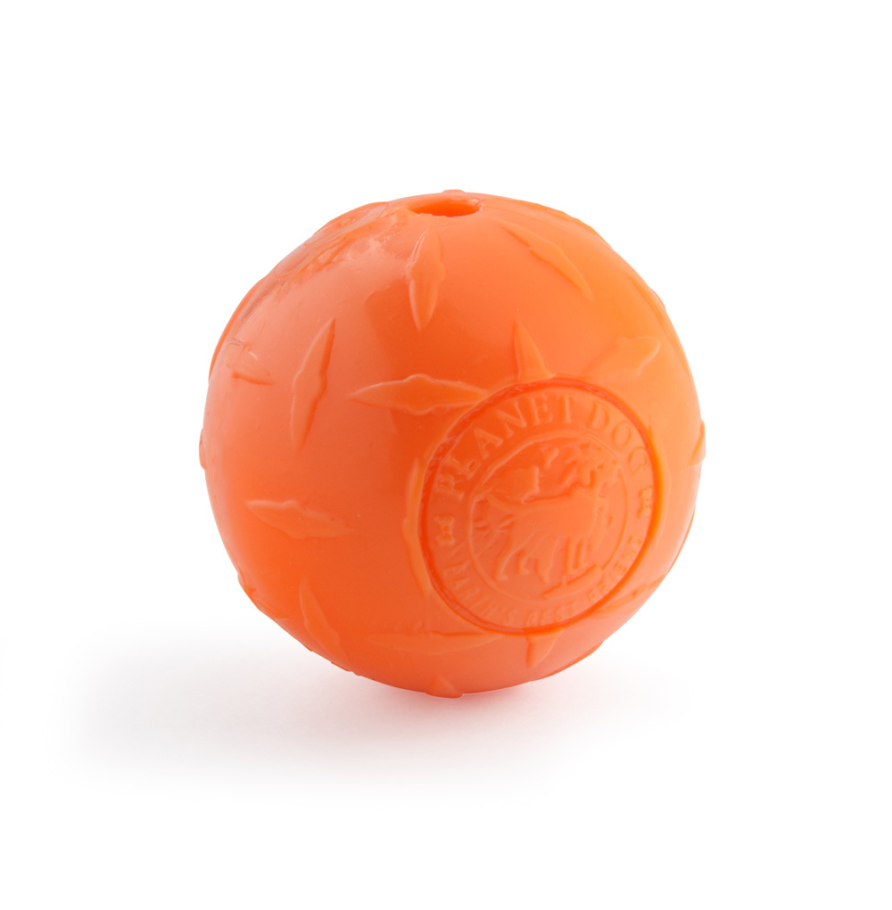 Planet dog orbee outlet