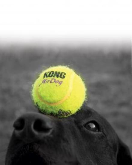 KONG AirDog Squeaker Non Abrasive Tennis Ball Dog Toy - X-Large - 3 Unit/s image 0