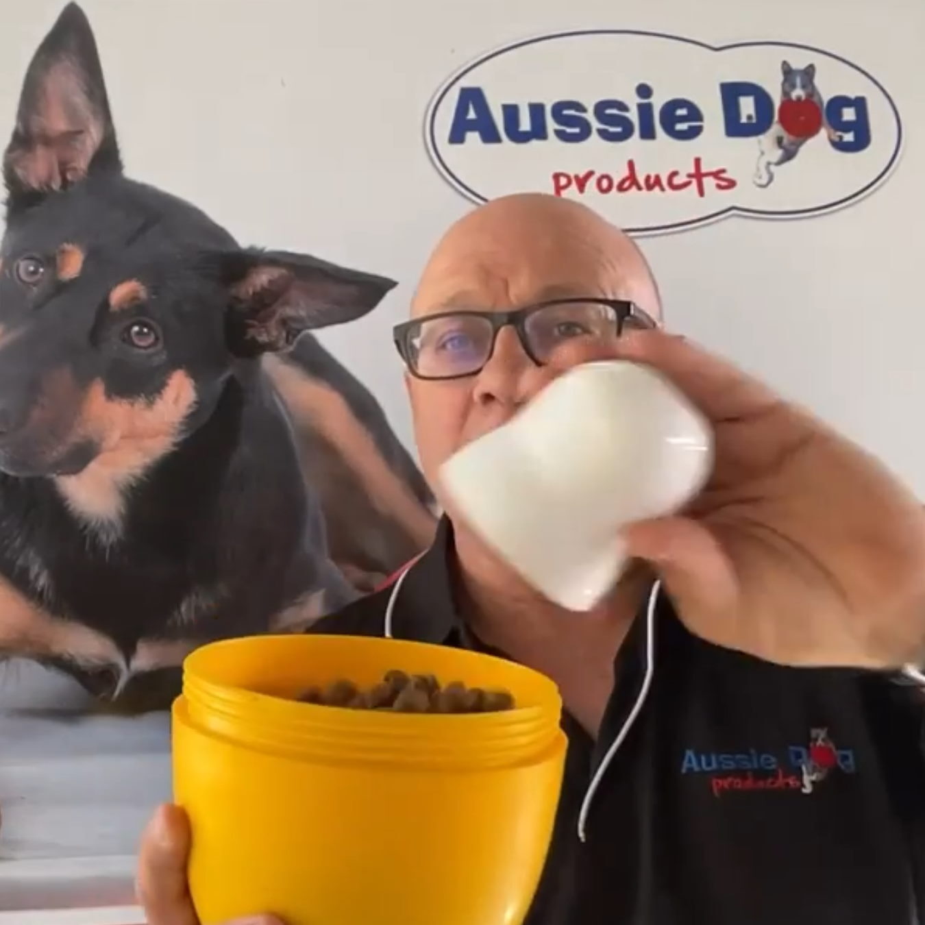 Aussie Dog Footy Feeder Treat Dispensing Dog Toy image 0