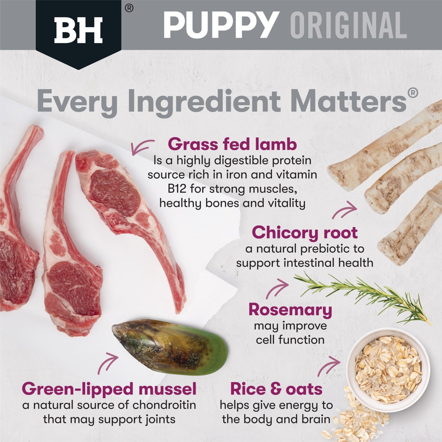 Black Hawk Original Lamb & Rice Puppy Dry Dog Food for Large Breeds image 0