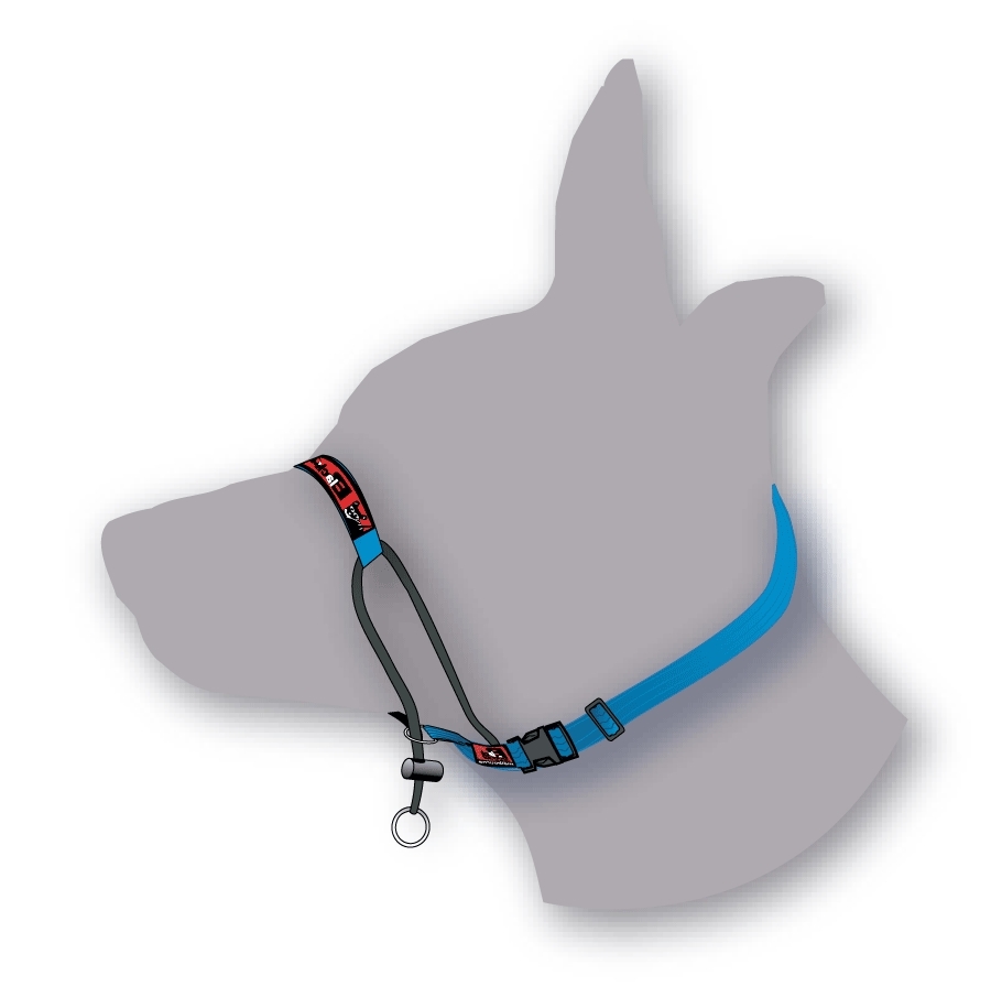 Black Dog Training Head Halter with Chin Clip image 0