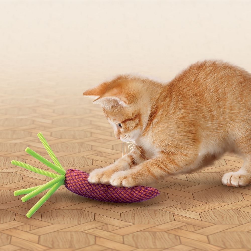 kong carrot cat toy
