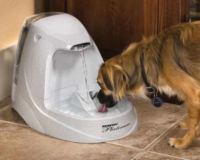 Drinkwell Platinum Pet Fountain for Pet Includes Charcoal Filter