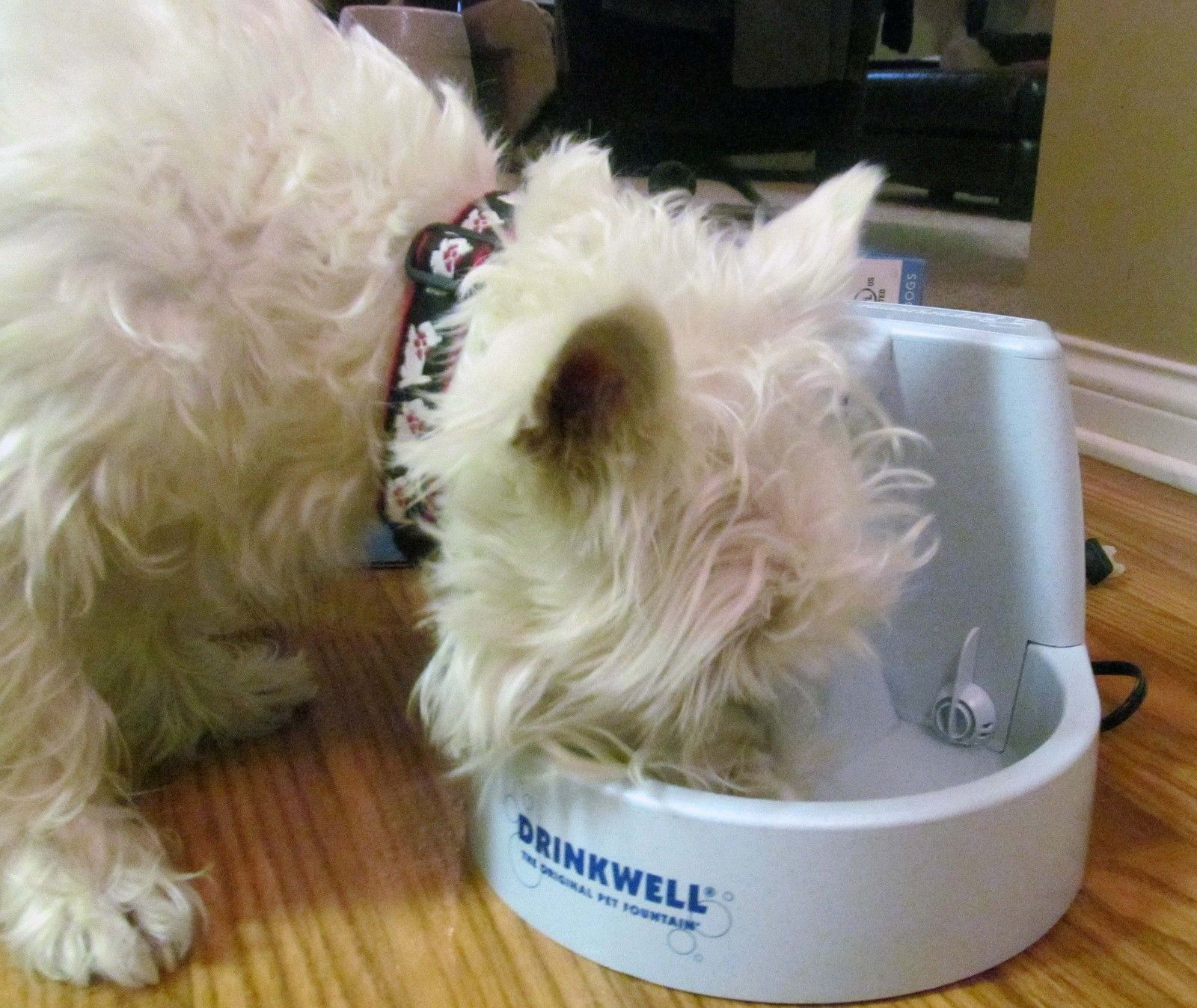 Drinkwell Original Charcoal Filter Water Fountain for Pet 1.5L