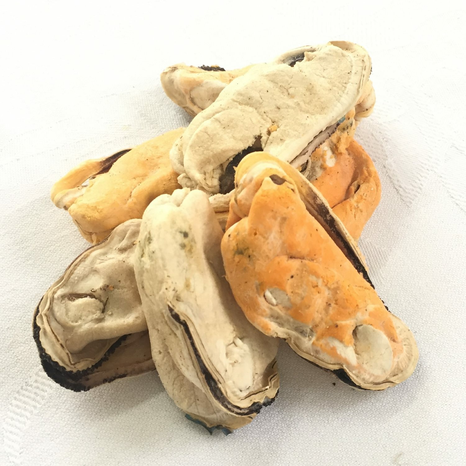 New Zealand Freeze Dried Green Lip Mussels Natural Treats for Cats