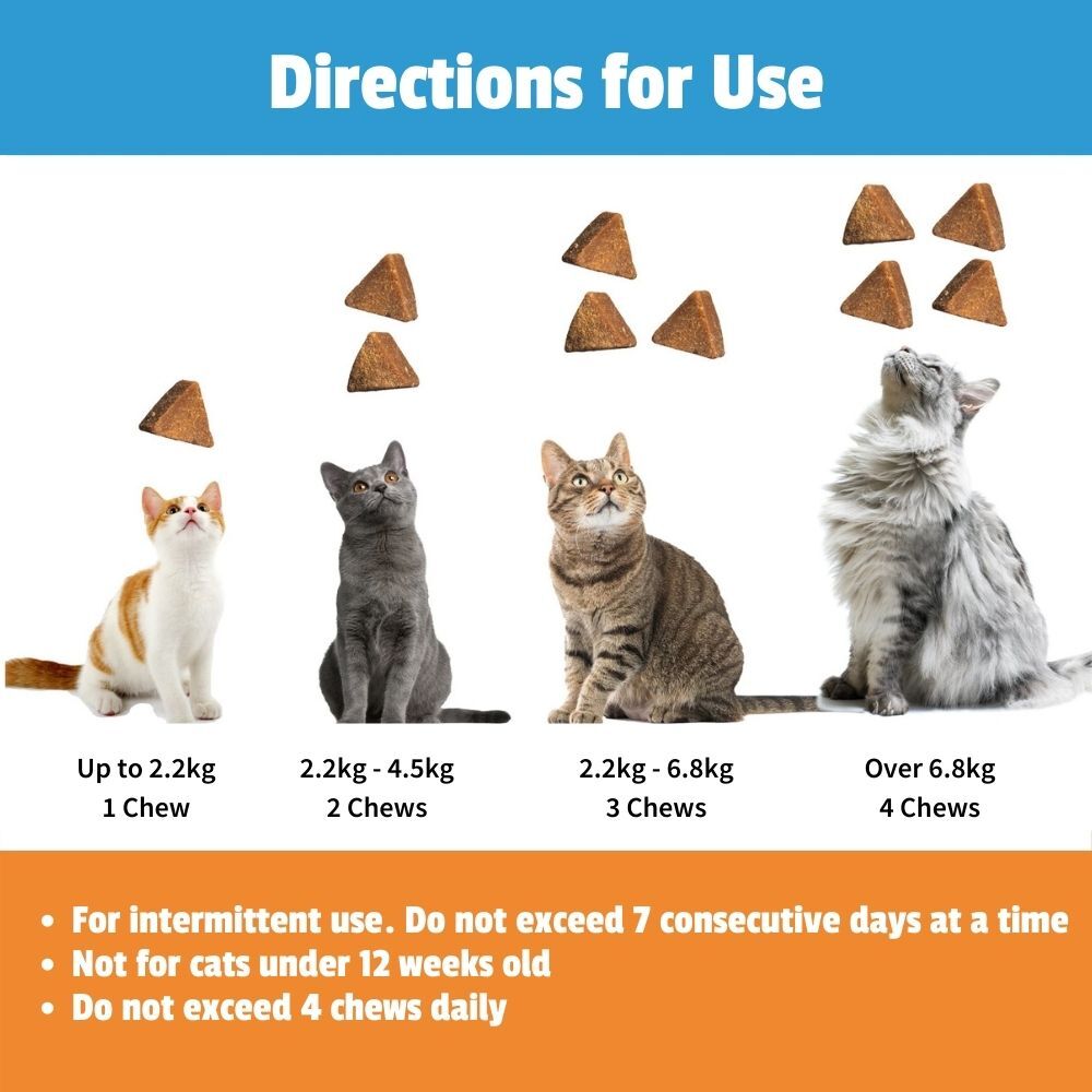 Thunderwunders Calming Chews for Stressed and Anxious Cats 180g image 0