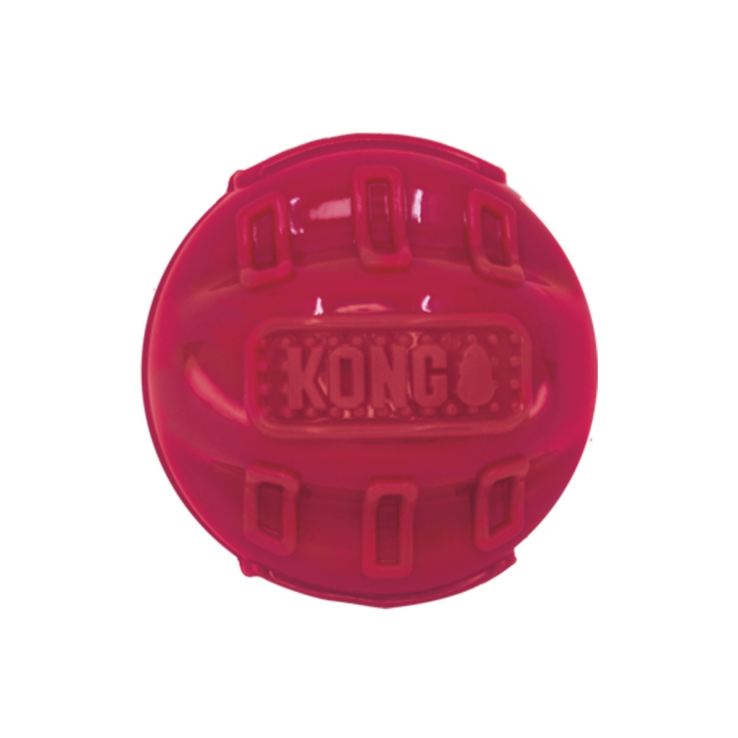 KONG Beezles Squeaker & Rattle Fetch Ball Dog Toy Assorted Colours image 0