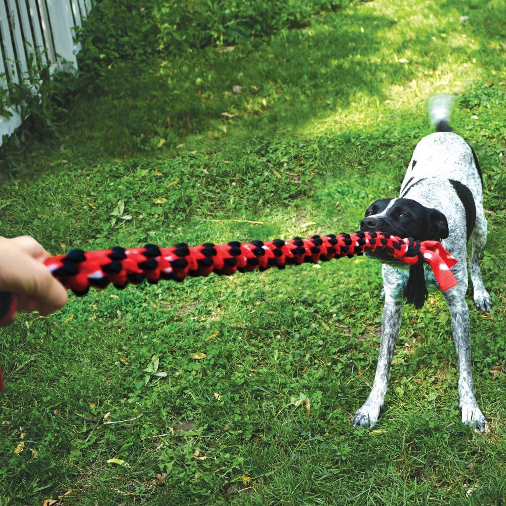 4 x KONG Signature Rope Dual Knot Extra Large Rope Tug Dog Toy image 0