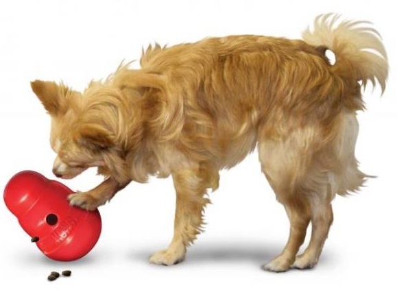 KONG Wobbler Food & Treat Dispenser Dog Toy image 0