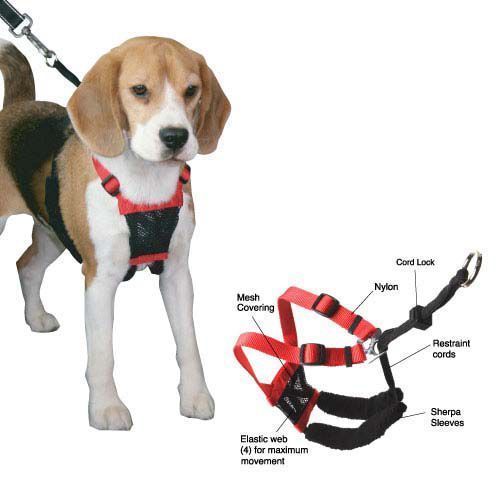 Sporn Halters 58