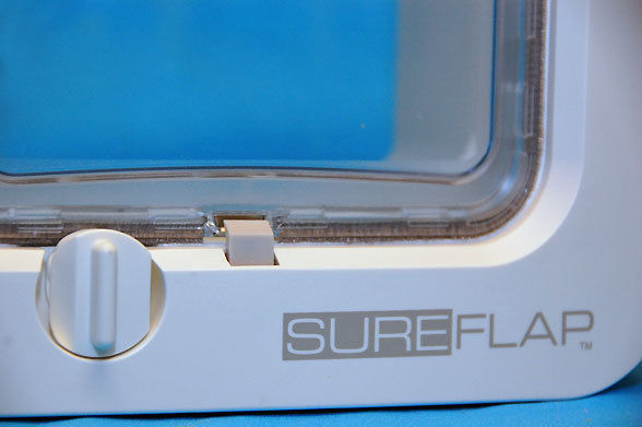 SureFlap Microchip Pet Door for Cats & Dogs with Curfew Mode - Large image 0