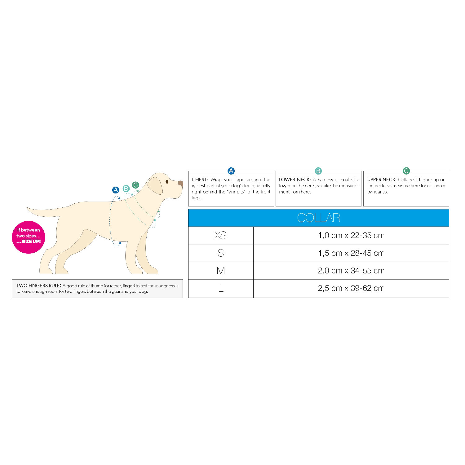 Max & Molly Smart ID Dog Collar - Ruler image 0