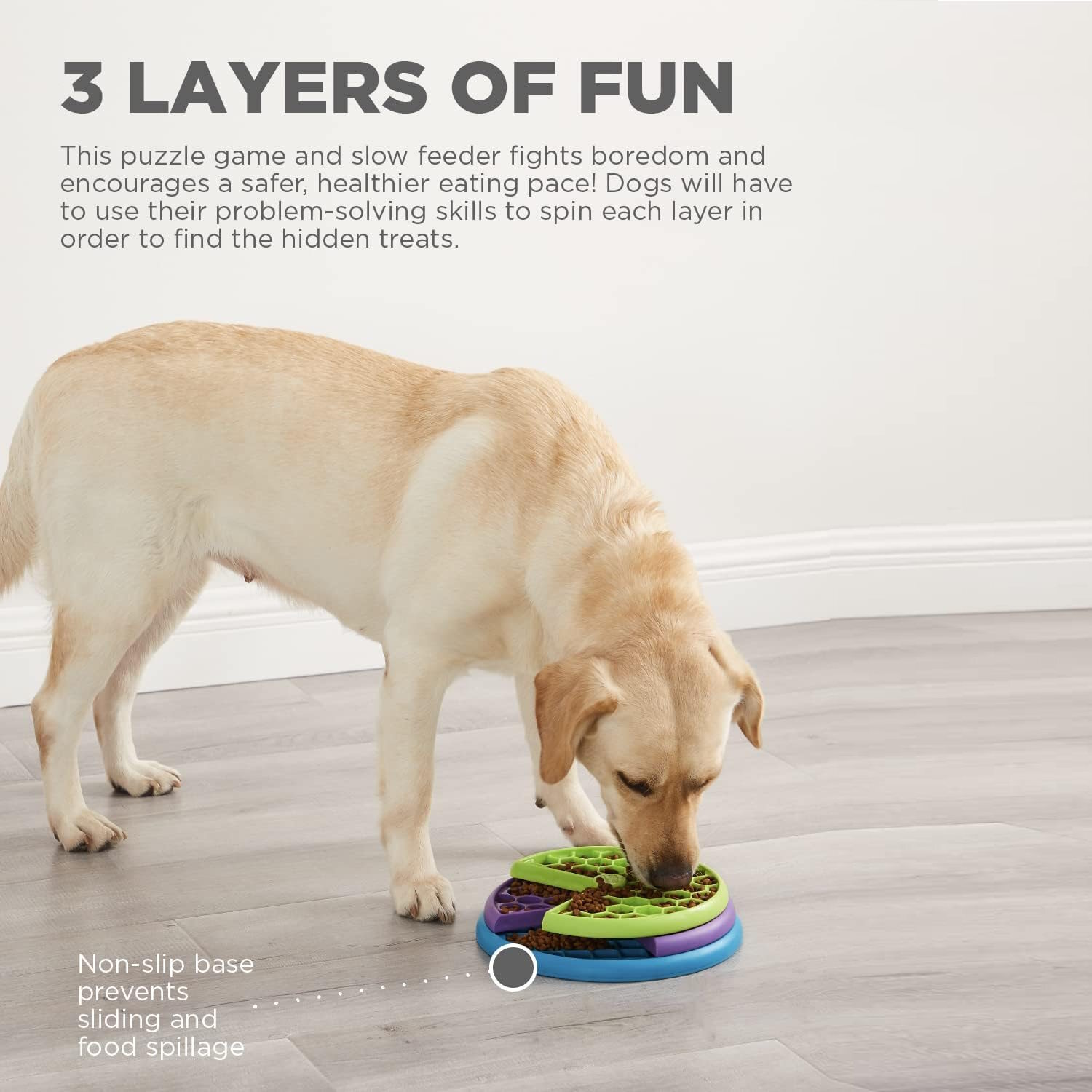 Outward Hound Lickin' Layers Slow Food & Treat Bowl for Dogs image 0