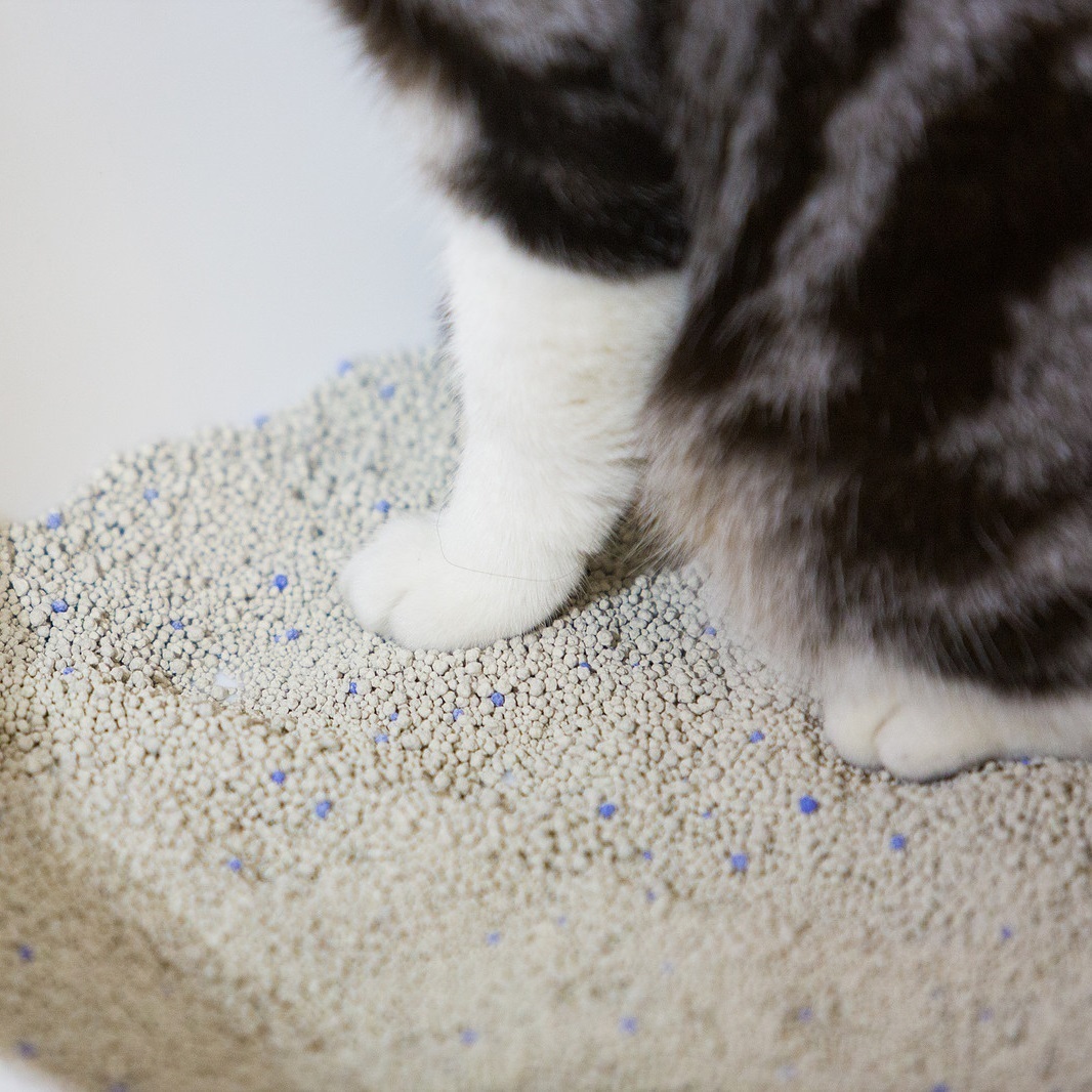 Pidan Premium Bentonite Fast Clumping Dust Free Cat Litter 6kg image 0