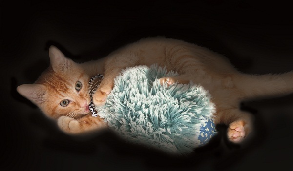 Petstages Nighttime Plush Quiet Cuddle Cat Toy image 0