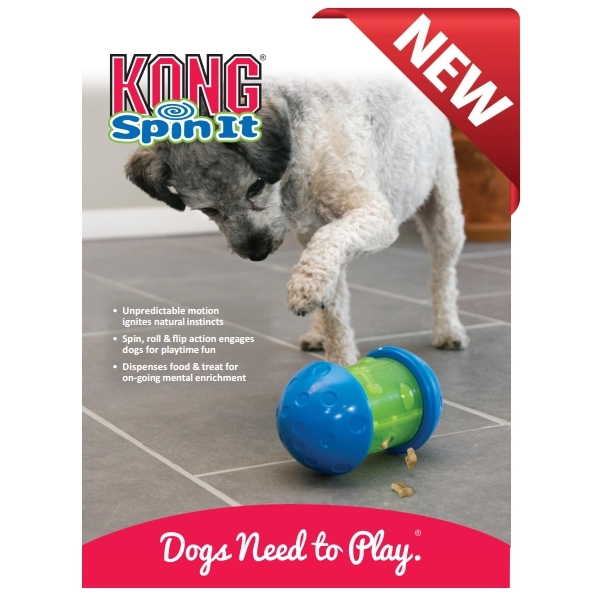 spin it toy
