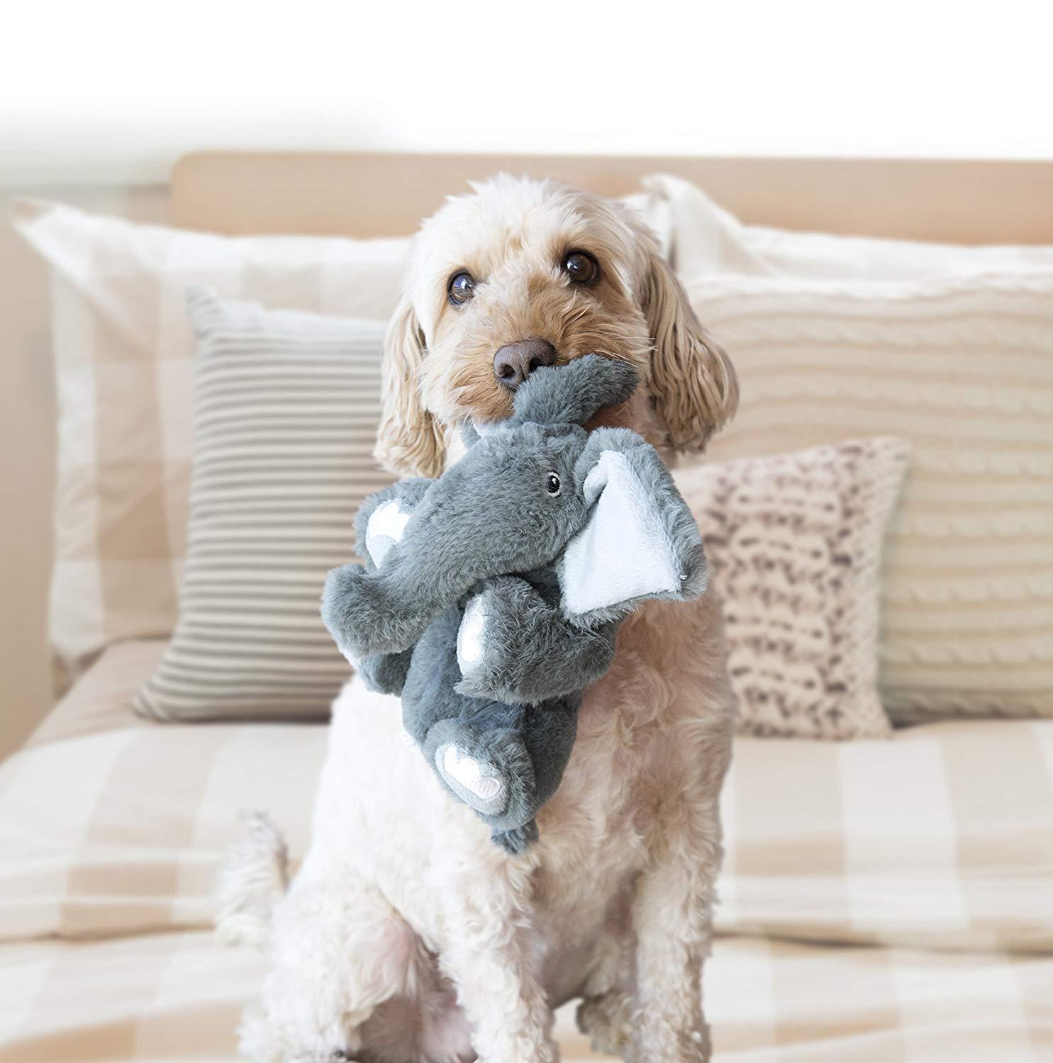 3 x KONG Comfort Kiddos Securty Elephant Plush Dog Toy - Large image 0