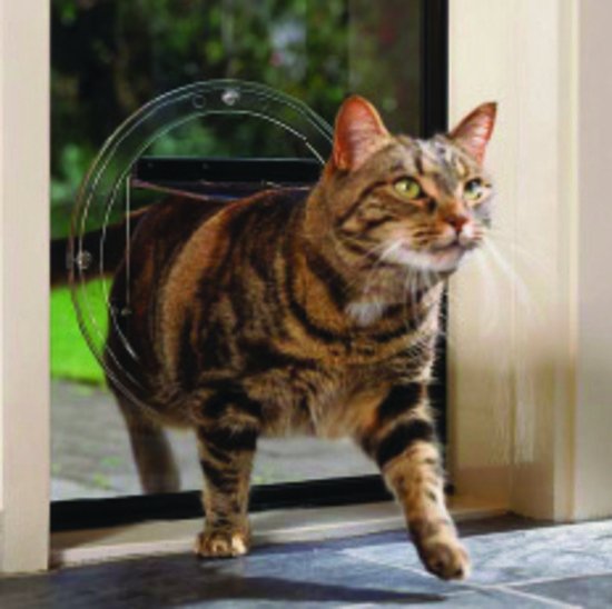 Transcat Clear Cat Door Small 4-Way Locking Door - 180mm Flap Width image 0