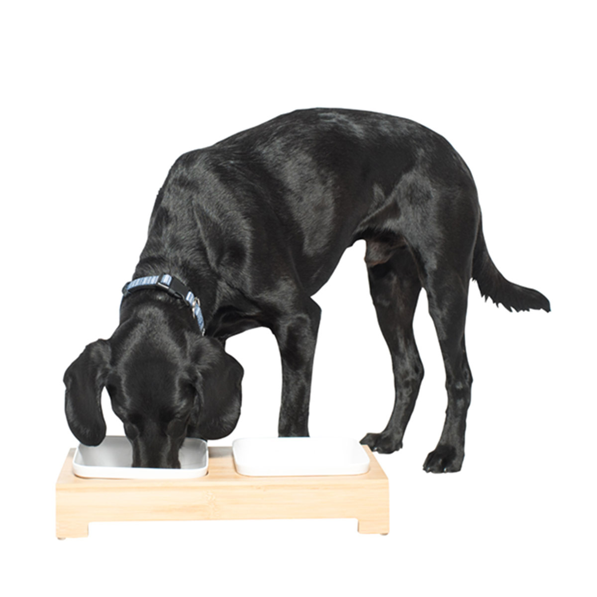 Are Bamboo Bones Safe For Dogs To Eat