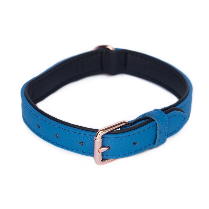 Zippy Paws Leather Dog Collar with Rose Gold Buckle - Cobalt image 0