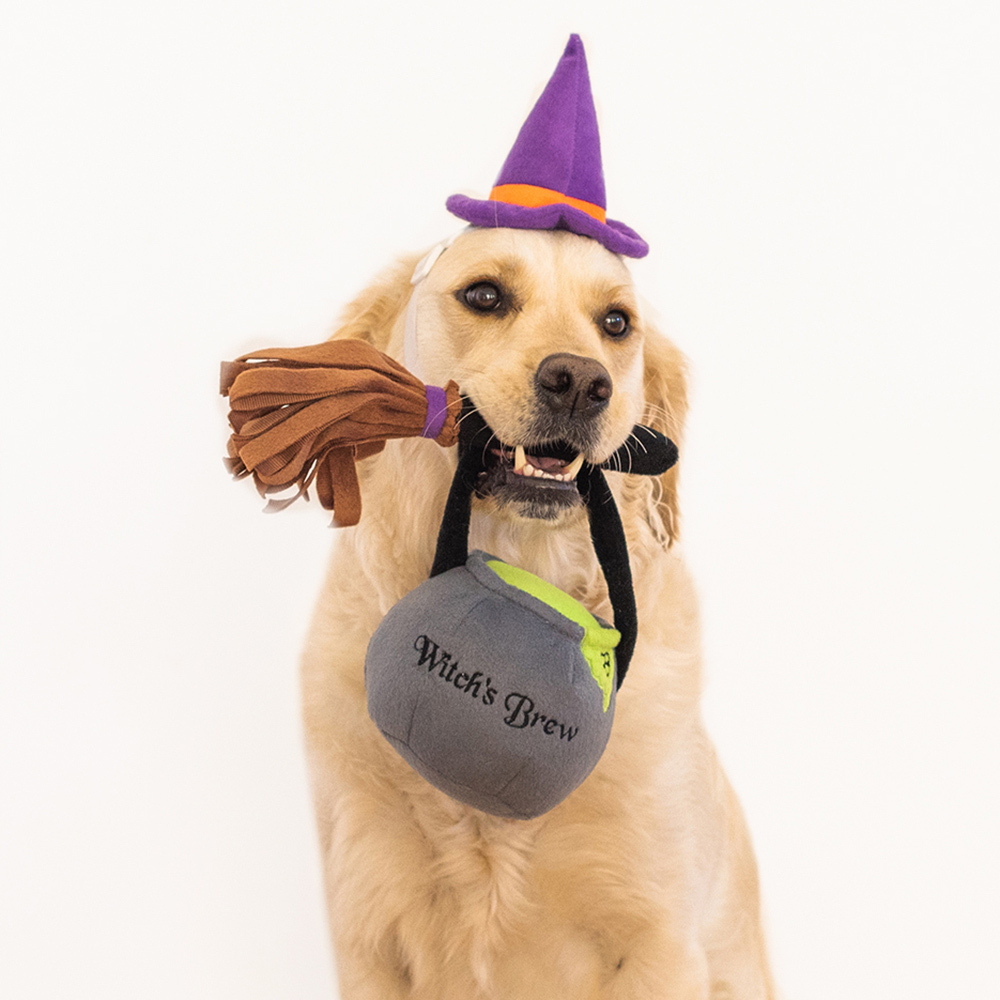 Zippy Paws Plush Squeaker Dog Toy - Halloween Costume Kit - Witch image 0
