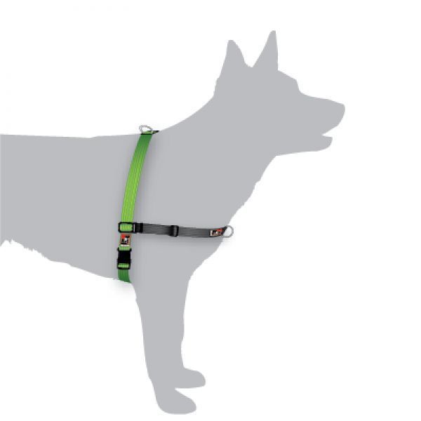 Black Dog Balance Halter - Front & Back Attach Dog Harness image 0