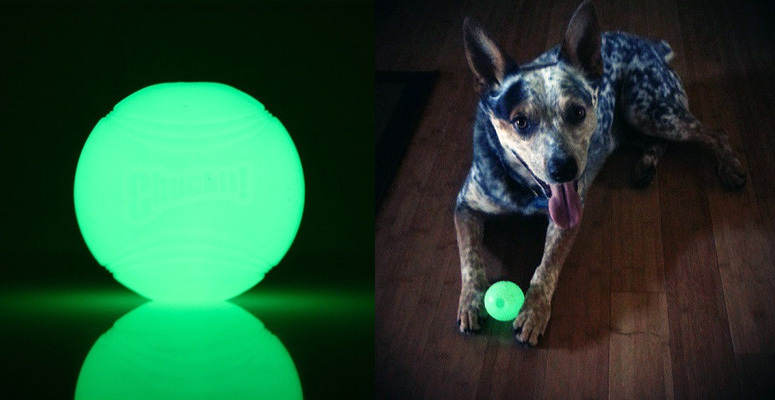 glow in the dark dog ball