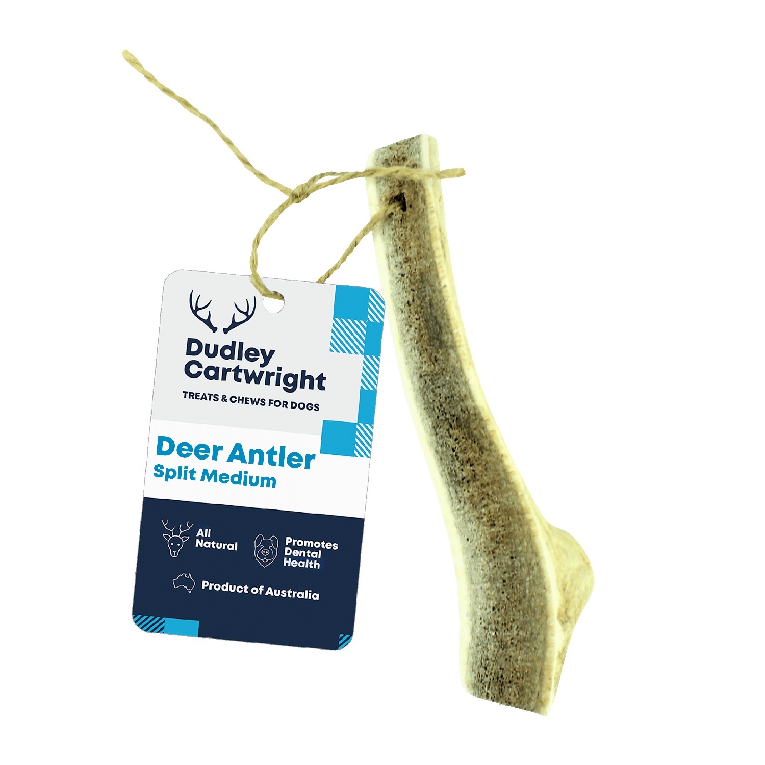 Dudley Cartwright Split Antler Dental Dog Chew - Naturally Shed image 0