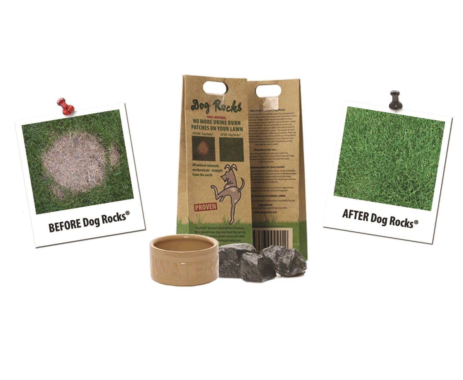 Dog rocks water bowl treatment sale